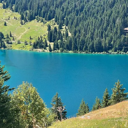 Les Loups Blancs Courchevel