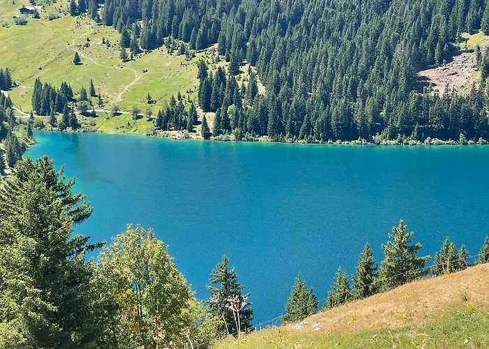 Les Loups Blancs Courchevel